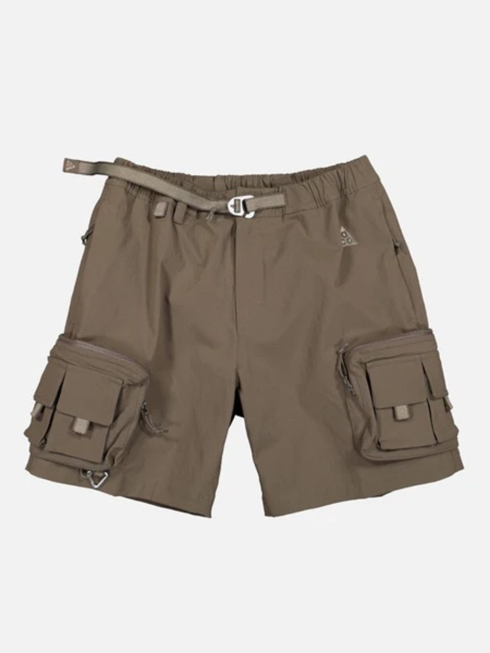 Nike ACG CARGO SHORTS